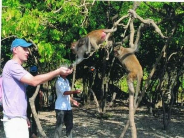 Can Gio Monkey Island Day Tour
